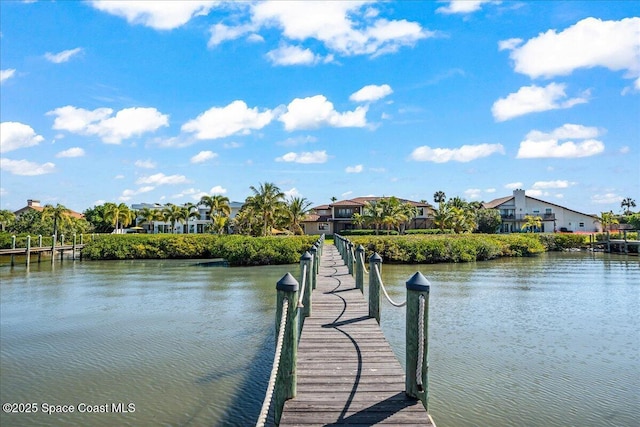 dock area with a water view