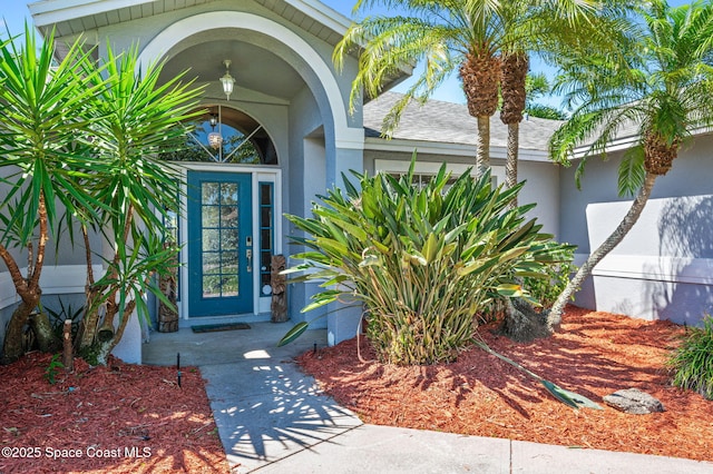 doorway to property with a shingled roof and stucco siding