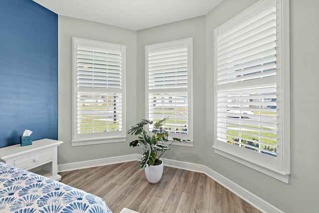 bedroom featuring multiple windows, wood finished floors, and baseboards