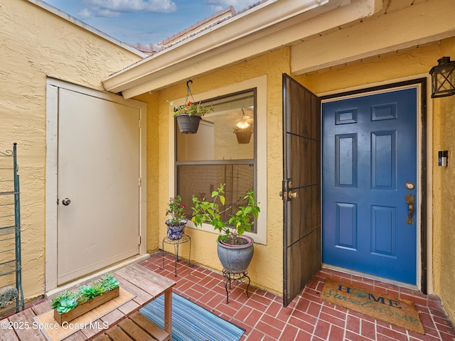 view of exterior entry featuring stucco siding