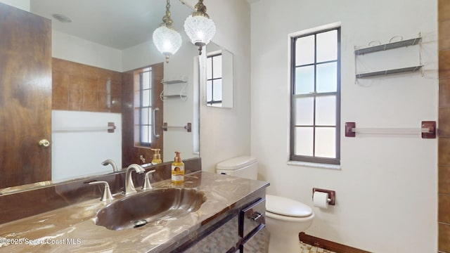 bathroom with toilet and vanity