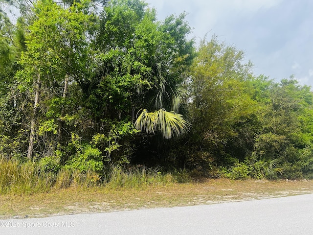 2993 Creech Ave SE, Palm Bay FL, 32909 land for sale