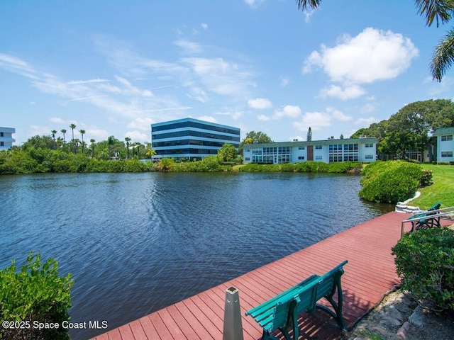 dock area with a water view