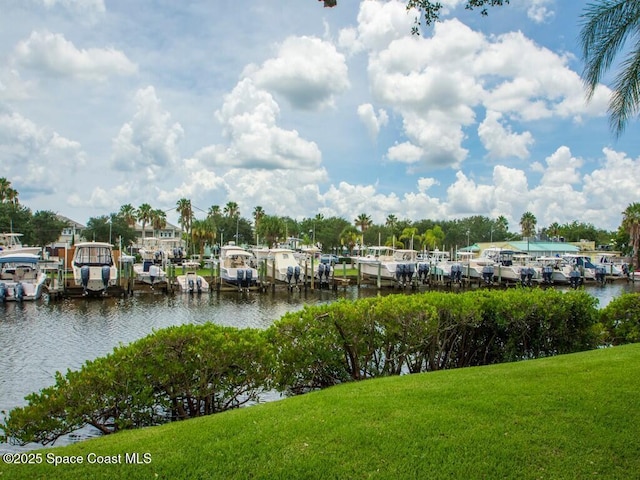 water view featuring a boat dock