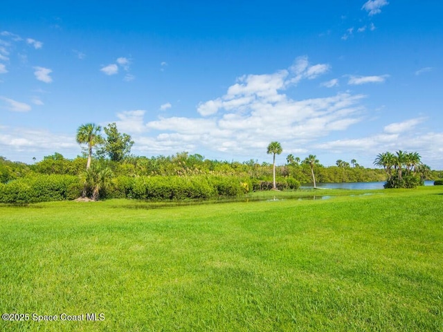 view of yard with a water view