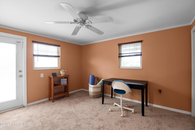 carpeted office featuring plenty of natural light, baseboards, ceiling fan, and crown molding