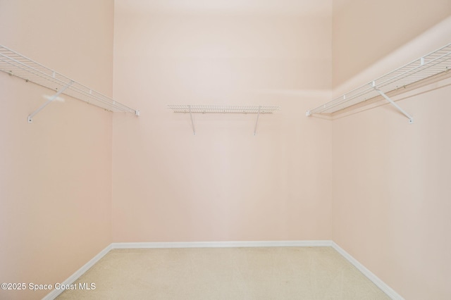 walk in closet featuring light colored carpet