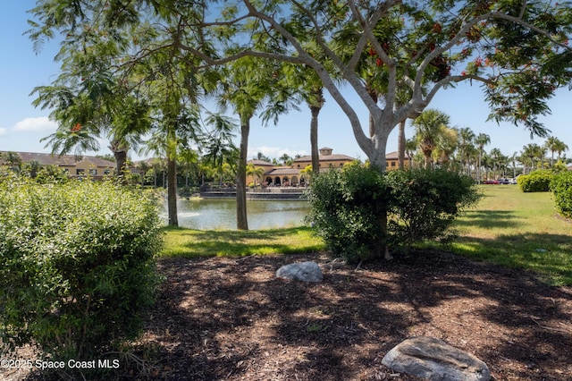 view of yard featuring a water view