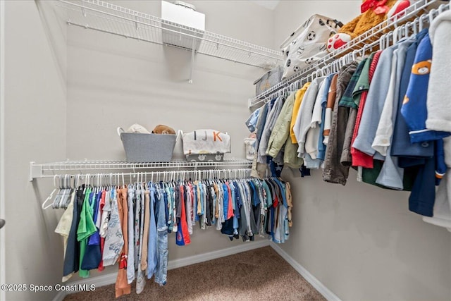 spacious closet featuring carpet flooring