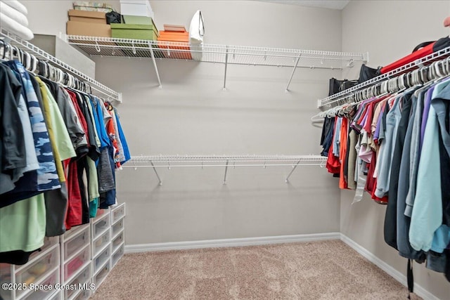 walk in closet with carpet flooring