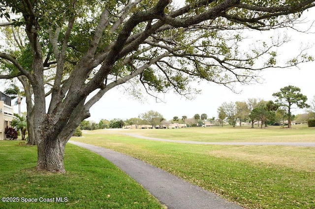 view of home's community featuring a lawn