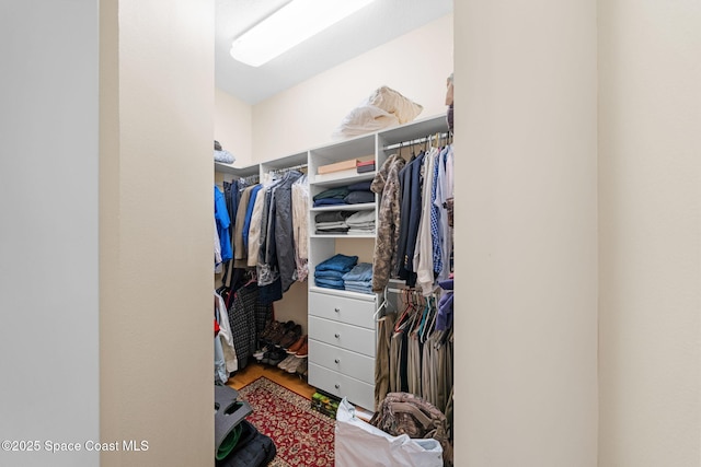view of spacious closet