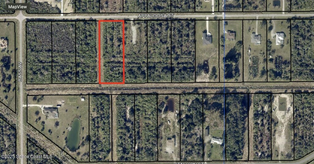 285 Appaloosa St, Palm Bay, FL 32909 - photo 1