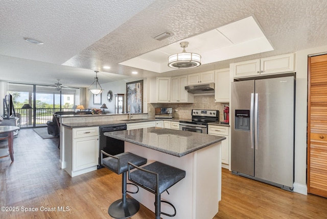 kitchen with a tray ceiling, appliances with stainless steel finishes, open floor plan, a peninsula, and under cabinet range hood