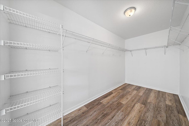 spacious closet featuring wood finished floors