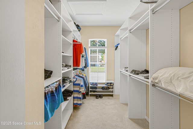 spacious closet with carpet floors and attic access