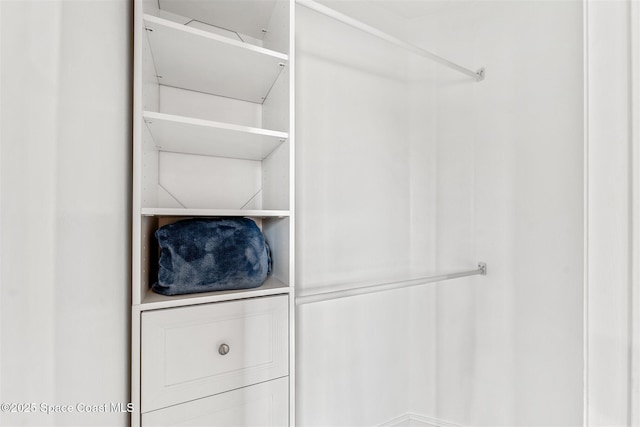 view of walk in closet