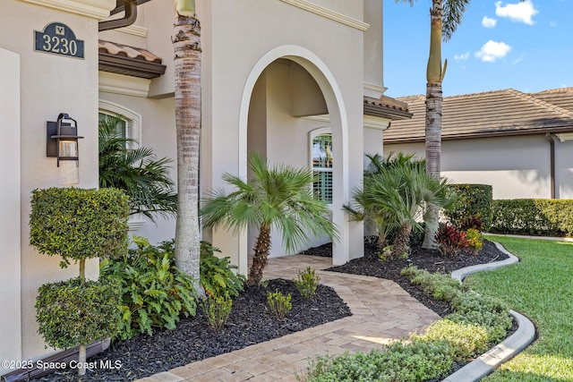 view of exterior entry featuring a tile roof and stucco siding