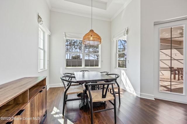 dining space with baseboards, ornamental molding, and dark wood-type flooring