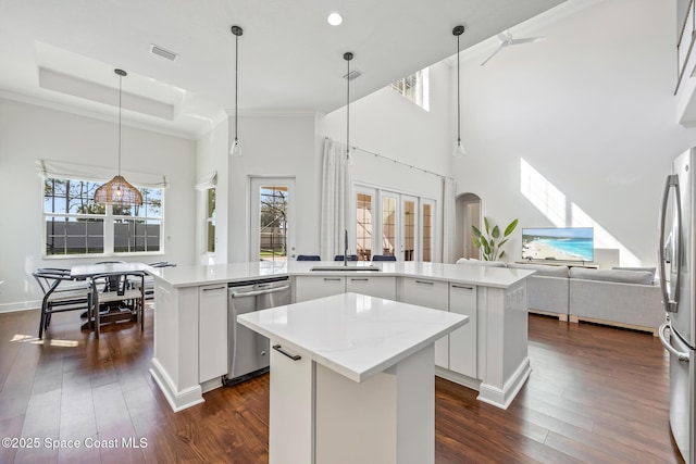 kitchen with stainless steel appliances, a tray ceiling, dark wood-type flooring, and a center island