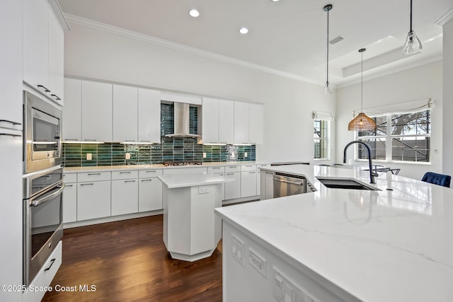 kitchen featuring a kitchen island with sink, a sink, appliances with stainless steel finishes, wall chimney exhaust hood, and a tray ceiling