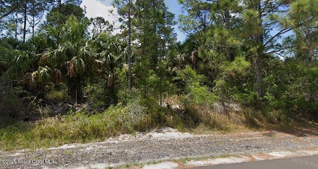 2734 Lakeland Ave, Palm Bay FL, 32908 land for sale