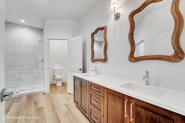 full bath featuring a sink, a shower stall, toilet, and double vanity