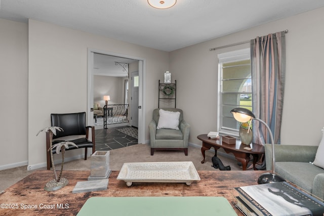 sitting room with carpet flooring and baseboards