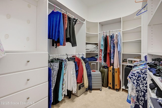 spacious closet featuring carpet flooring