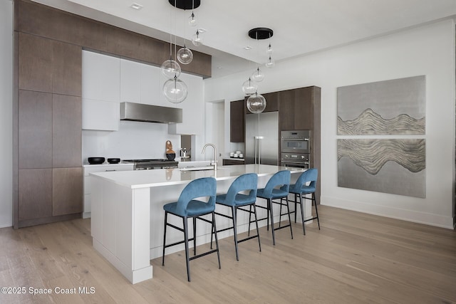 kitchen with under cabinet range hood, a kitchen breakfast bar, appliances with stainless steel finishes, light wood finished floors, and modern cabinets