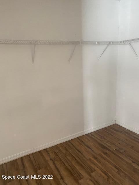 walk in closet featuring wood finished floors