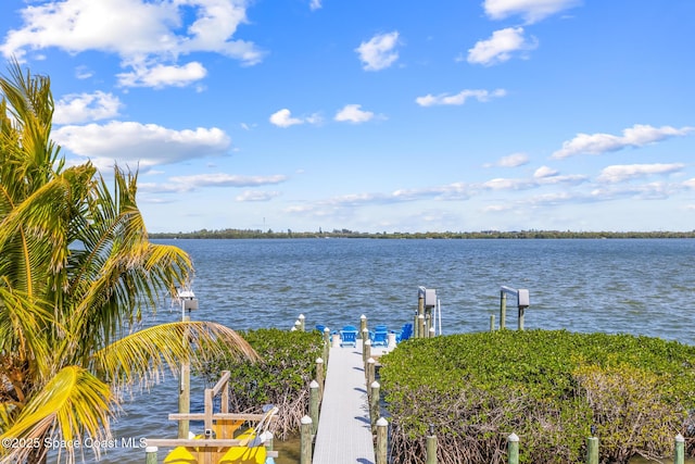 water view with a dock