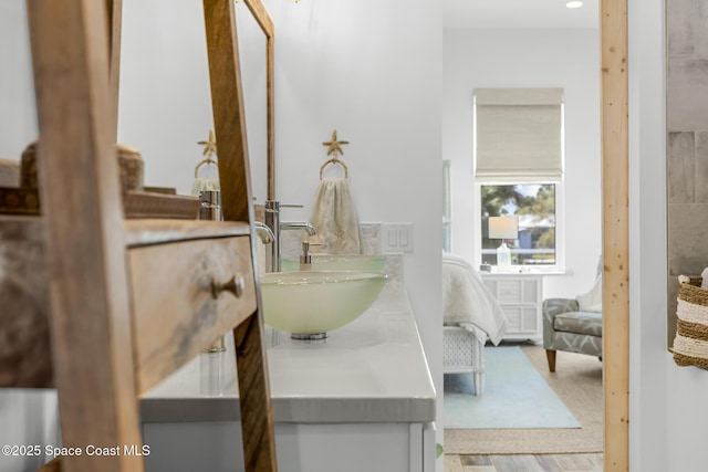 bathroom featuring wood finished floors and vanity