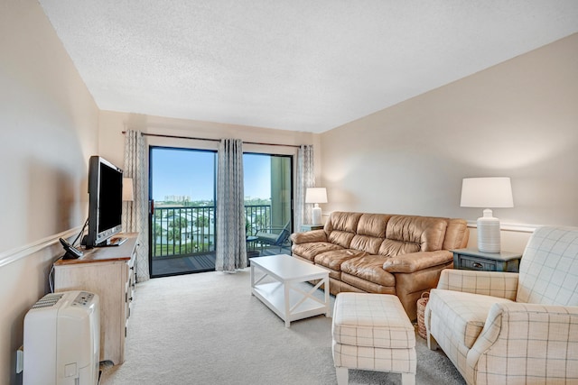 living area with a textured ceiling and light colored carpet