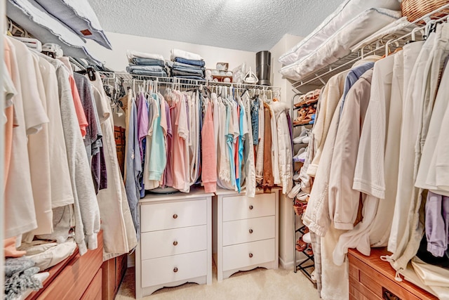 spacious closet featuring carpet