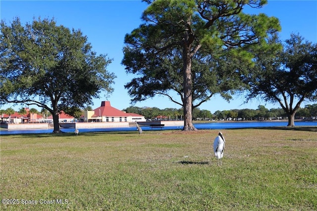 view of yard featuring a water view