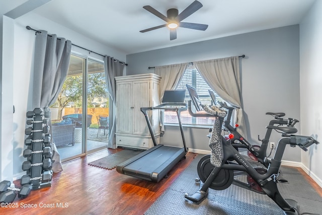 workout room featuring a healthy amount of sunlight, baseboards, and wood finished floors