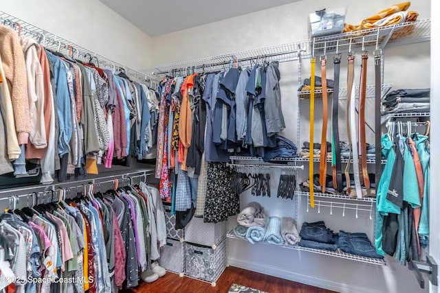 spacious closet featuring wood finished floors