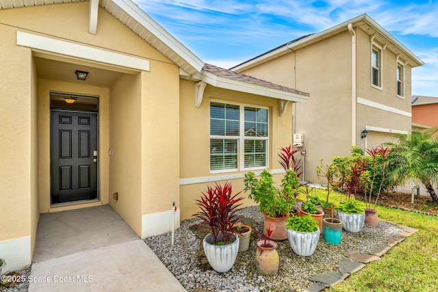 entrance to property featuring a shingled roof and stucco siding