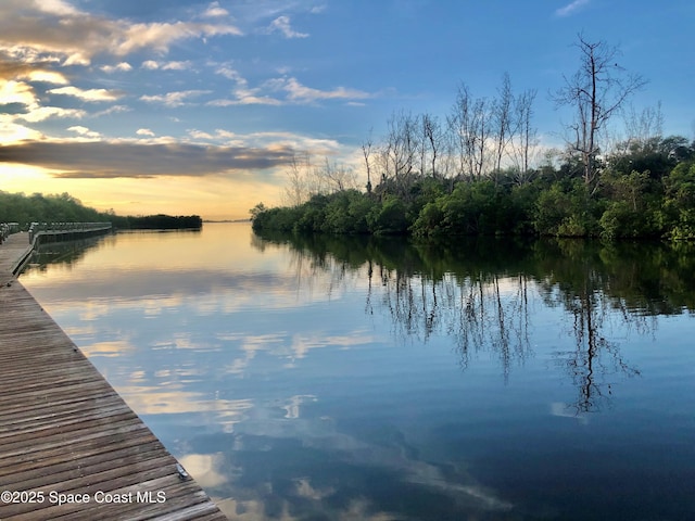 water view featuring a dock