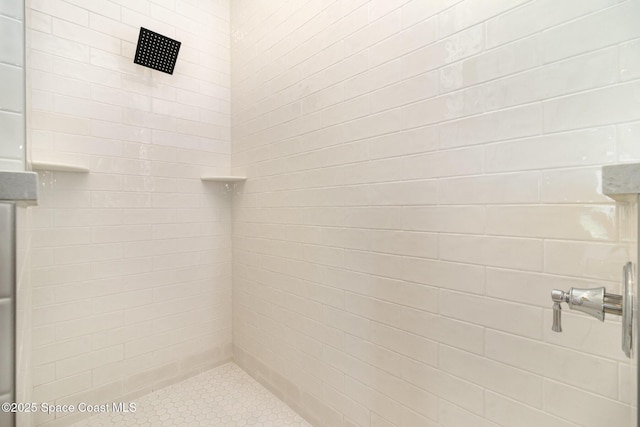 full bathroom featuring a shower stall