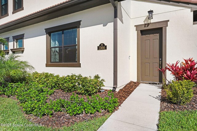 entrance to property featuring stucco siding