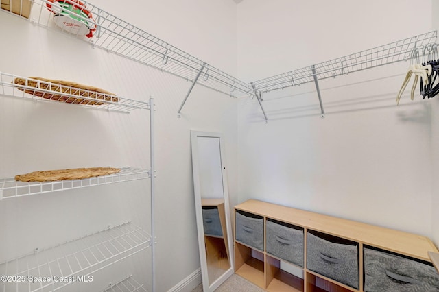 view of spacious closet