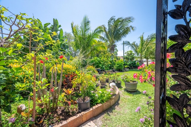 view of yard with a vegetable garden