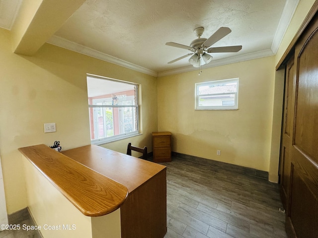 office area with a ceiling fan, plenty of natural light, dark wood-style flooring, and crown molding