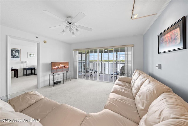 living room with ceiling fan, carpet floors, and ornamental molding