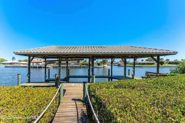 dock area with a water view