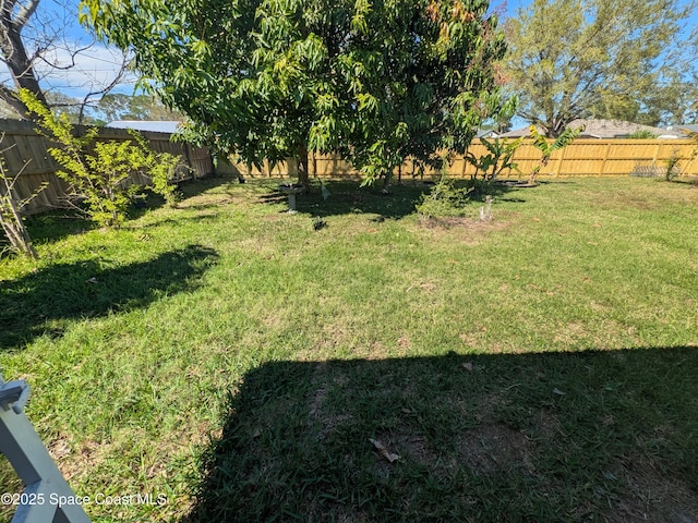 view of yard with a fenced backyard