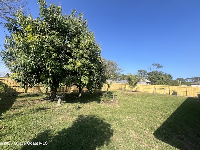 view of yard with a fenced backyard