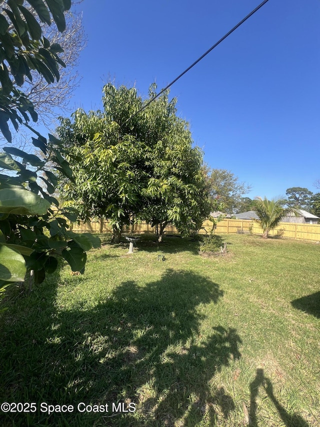 view of yard featuring a rural view and a fenced backyard